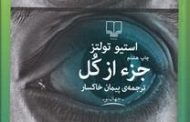 جزء از کل